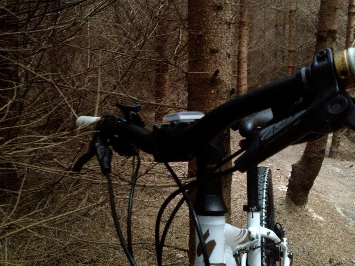 Specialized Rockhopper billede 19