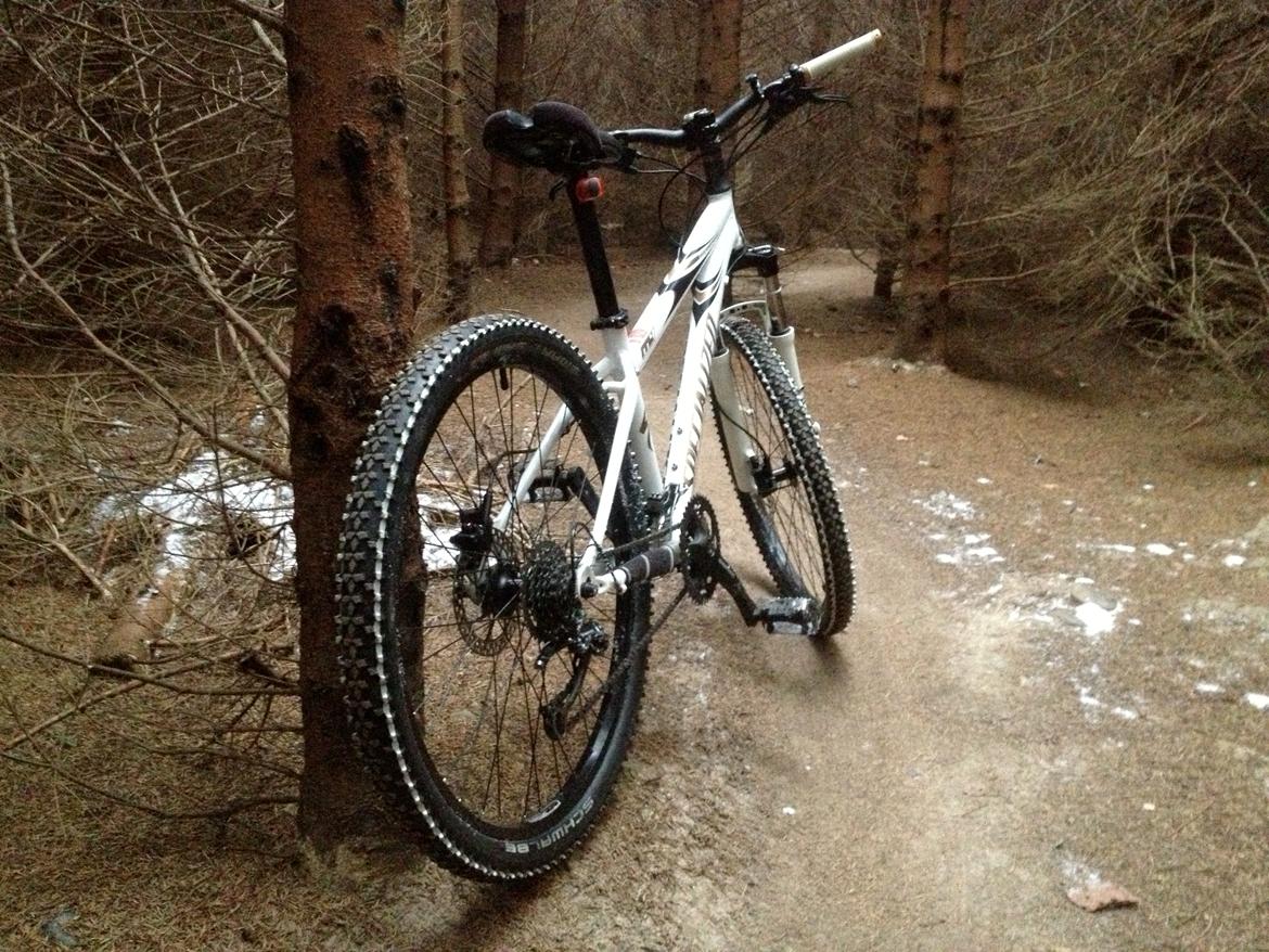 Specialized Rockhopper billede 6