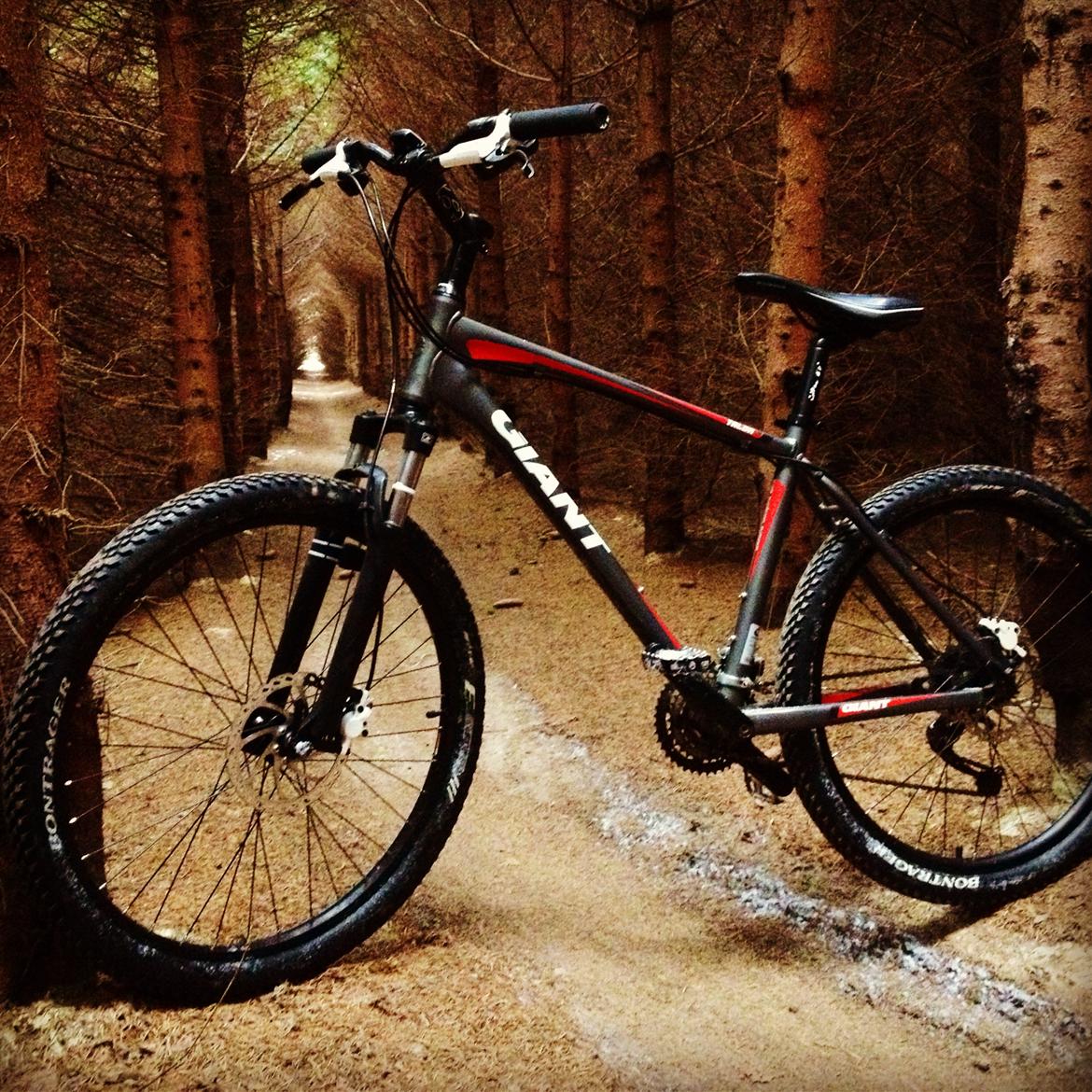 Giant Talon 3 disc 2011 billede 4