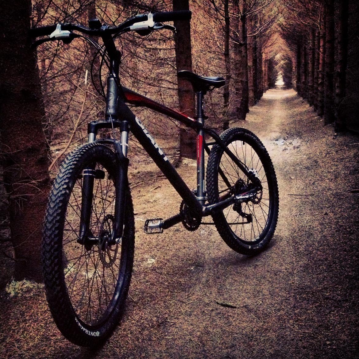 Giant Talon 3 disc 2011 billede 3