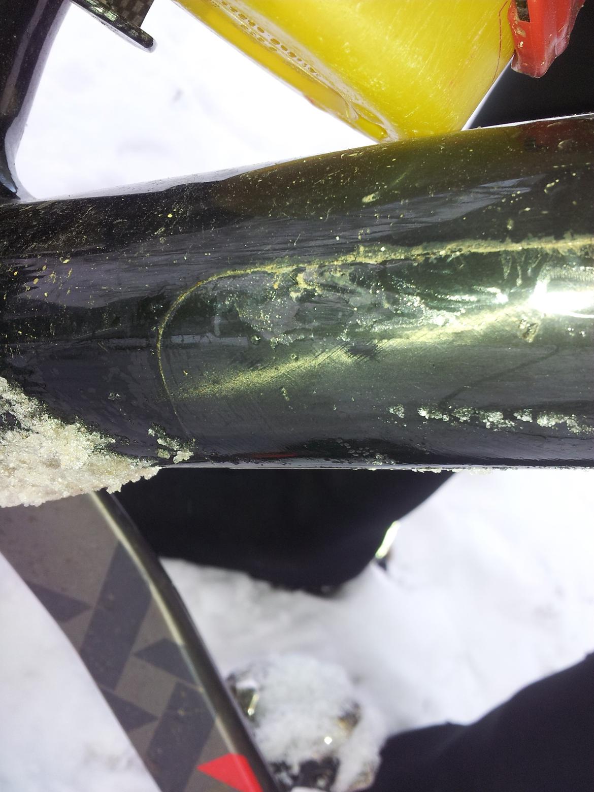 Rose Mr. Big billede 2