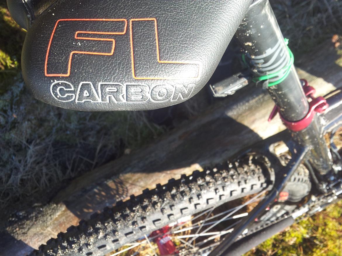 Rose Mr. Big billede 9