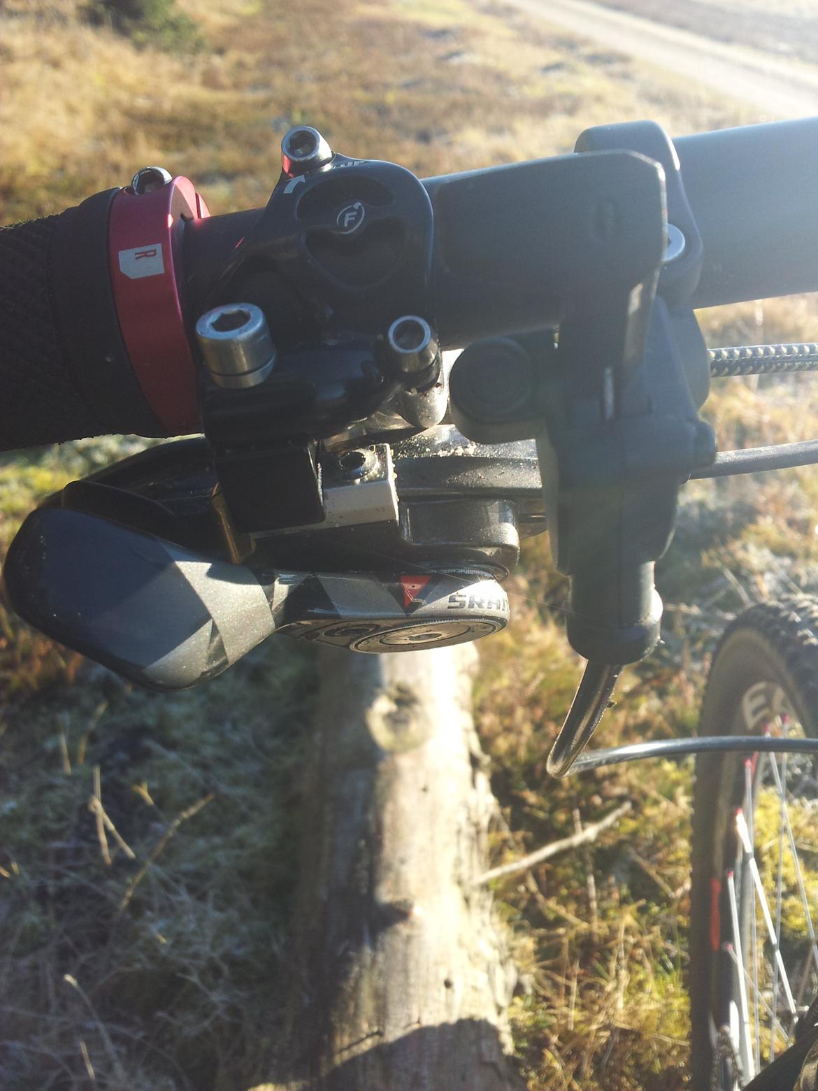 Rose Mr. Big billede 10