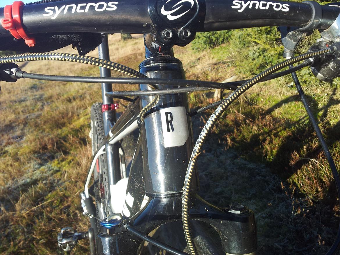 Rose Mr. Big billede 11