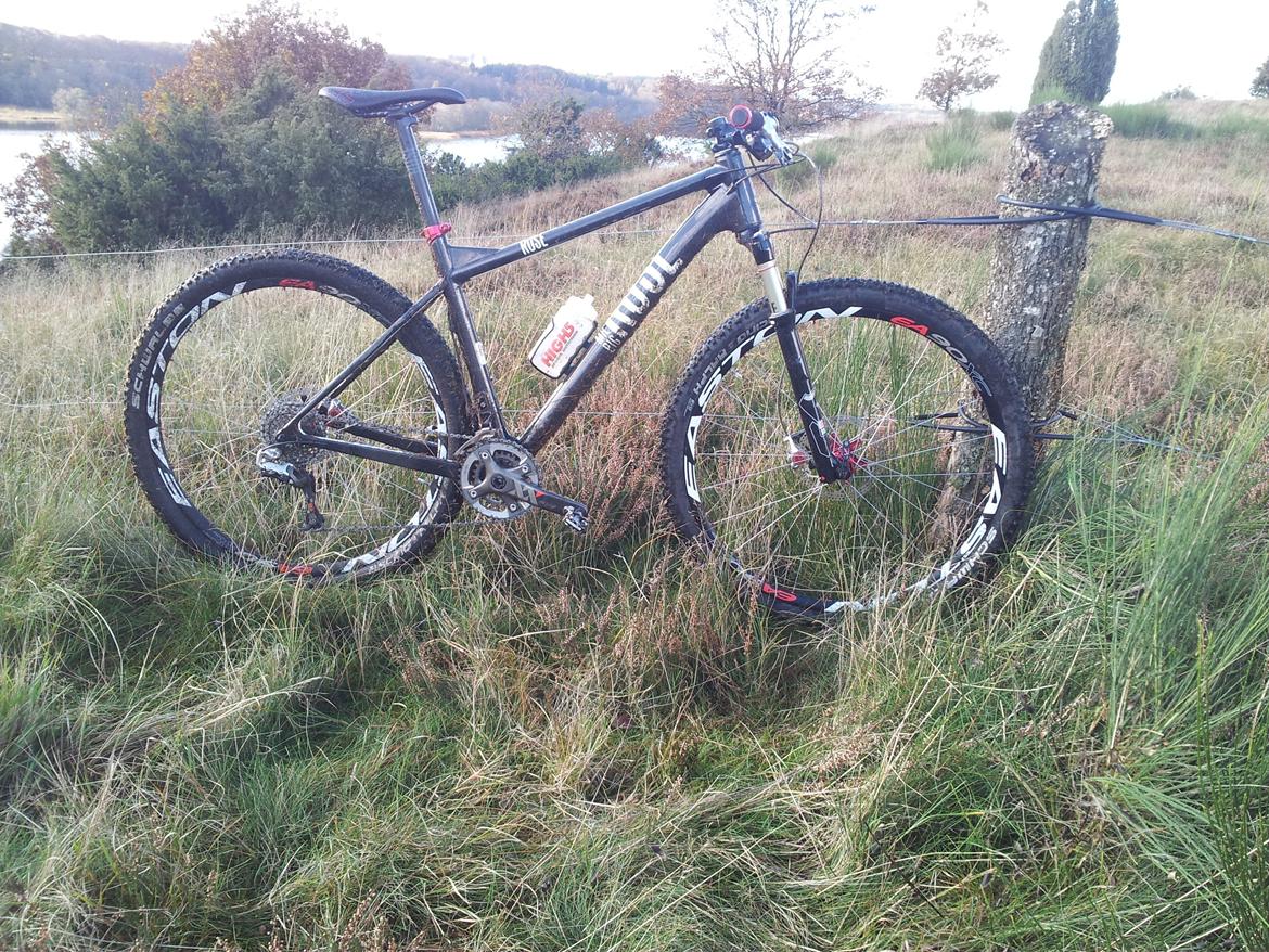 Rose Mr. Big billede 12