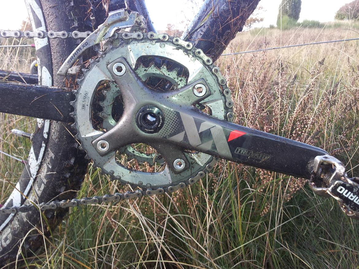 Rose Mr. Big billede 13