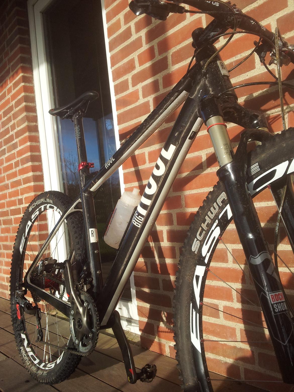 Rose Mr. Big billede 15