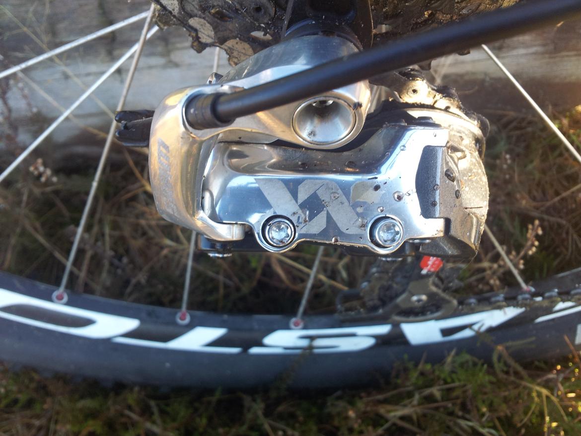 Rose Mr. Big billede 19