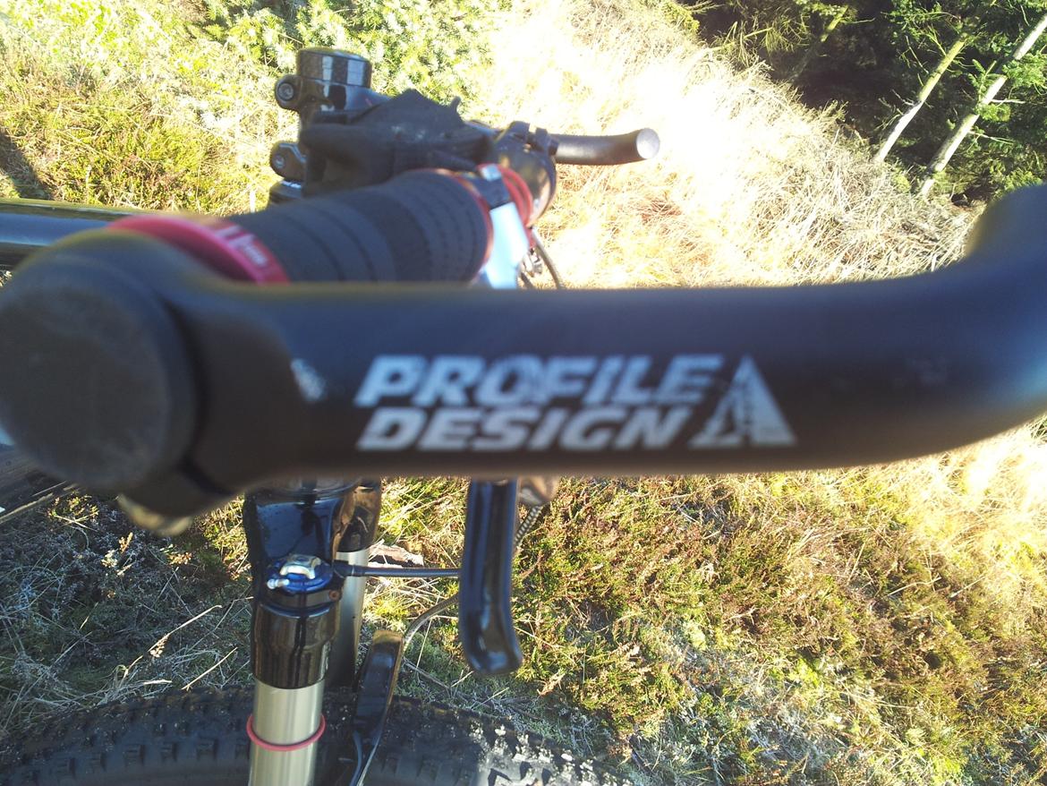 Rose Mr. Big billede 20