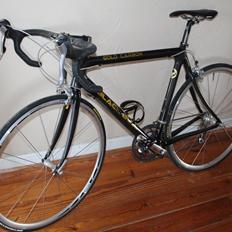 Black Bull Gold Carbon
