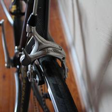 Black Bull Gold Carbon