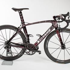 X-treme  Custom Spider Bike.