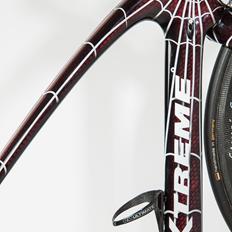 X-treme  Custom Spider Bike.