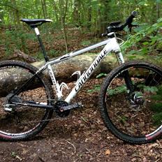 Cannondale Flash 29"