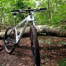 Cannondale Flash 29"