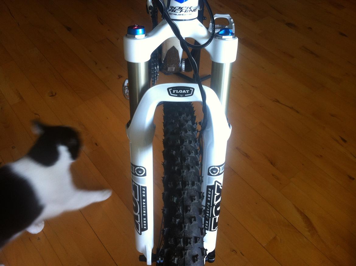 Rock Machine team 70 carbon billede 4