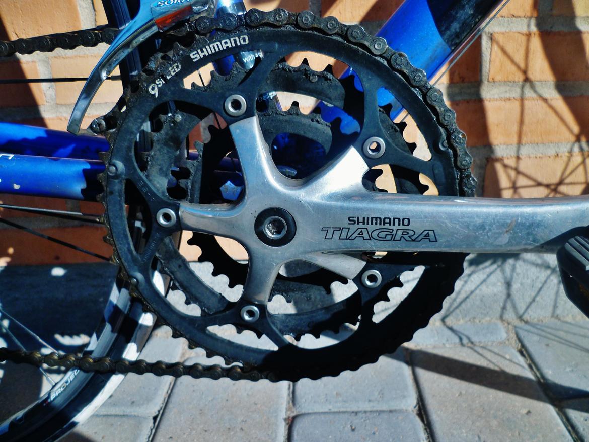 SCO Performance new generation billede 11