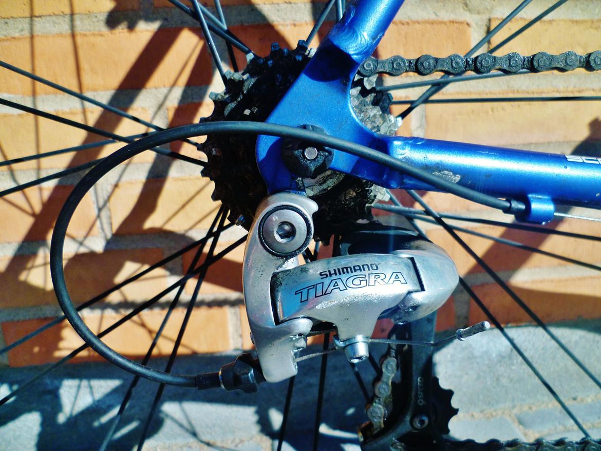 SCO Performance new generation billede 12