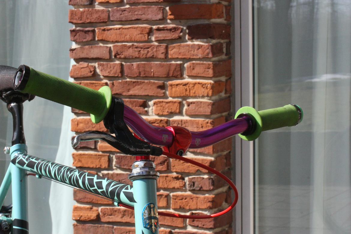 Bianchi "Mor's gamle" billede 10