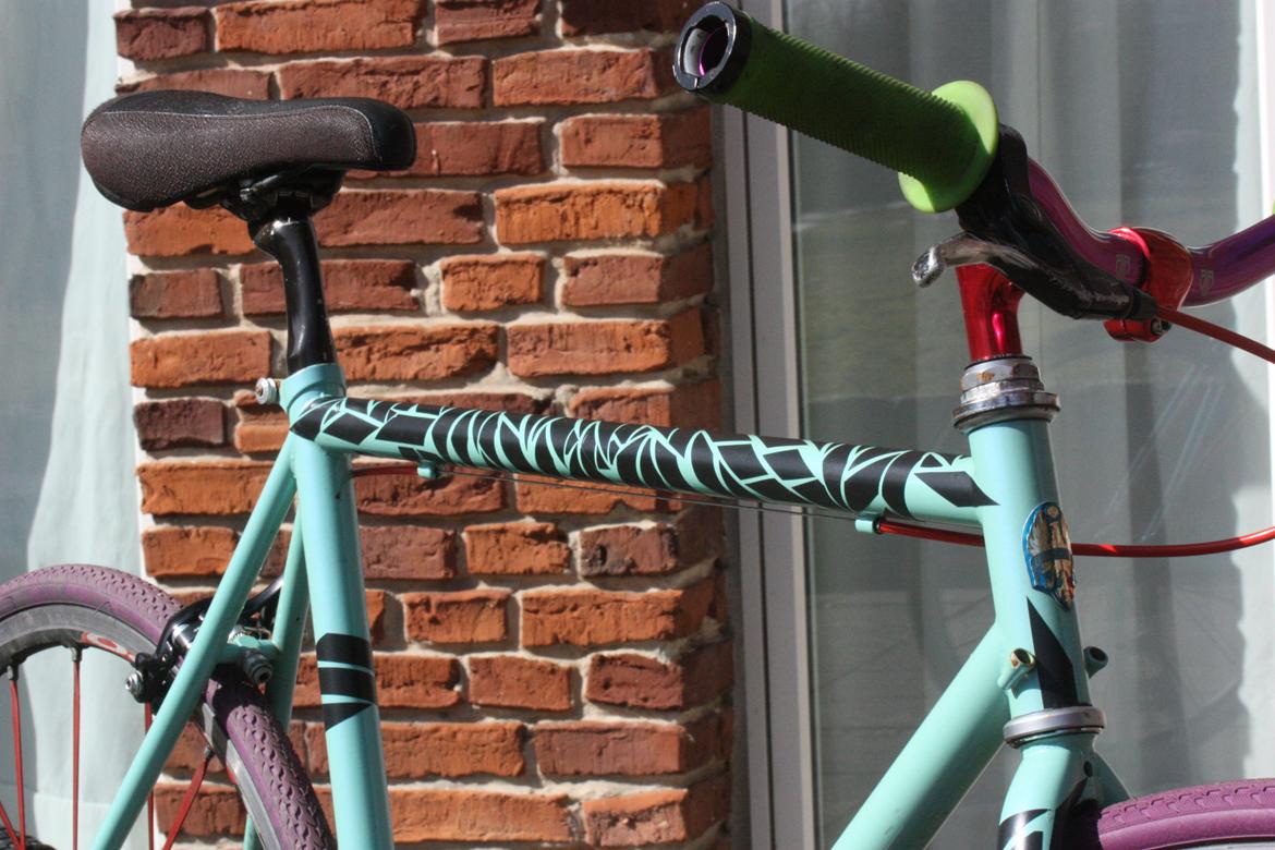 Bianchi "Mor's gamle" billede 11