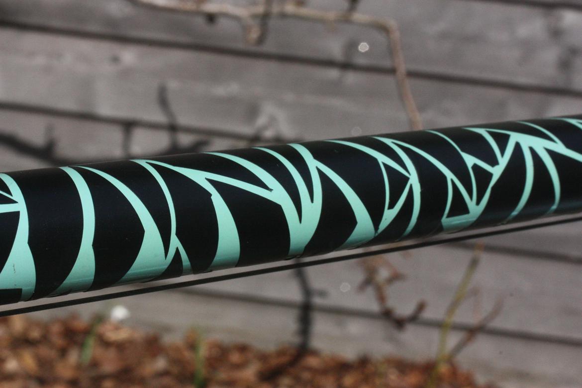 Bianchi "Mor's gamle" billede 15