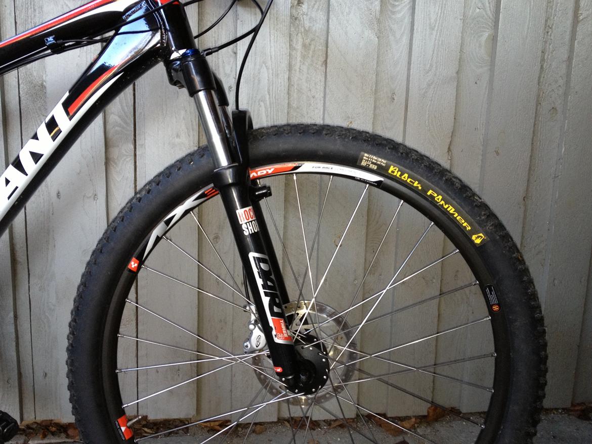 Giant Revel 2 - Solgt billede 2