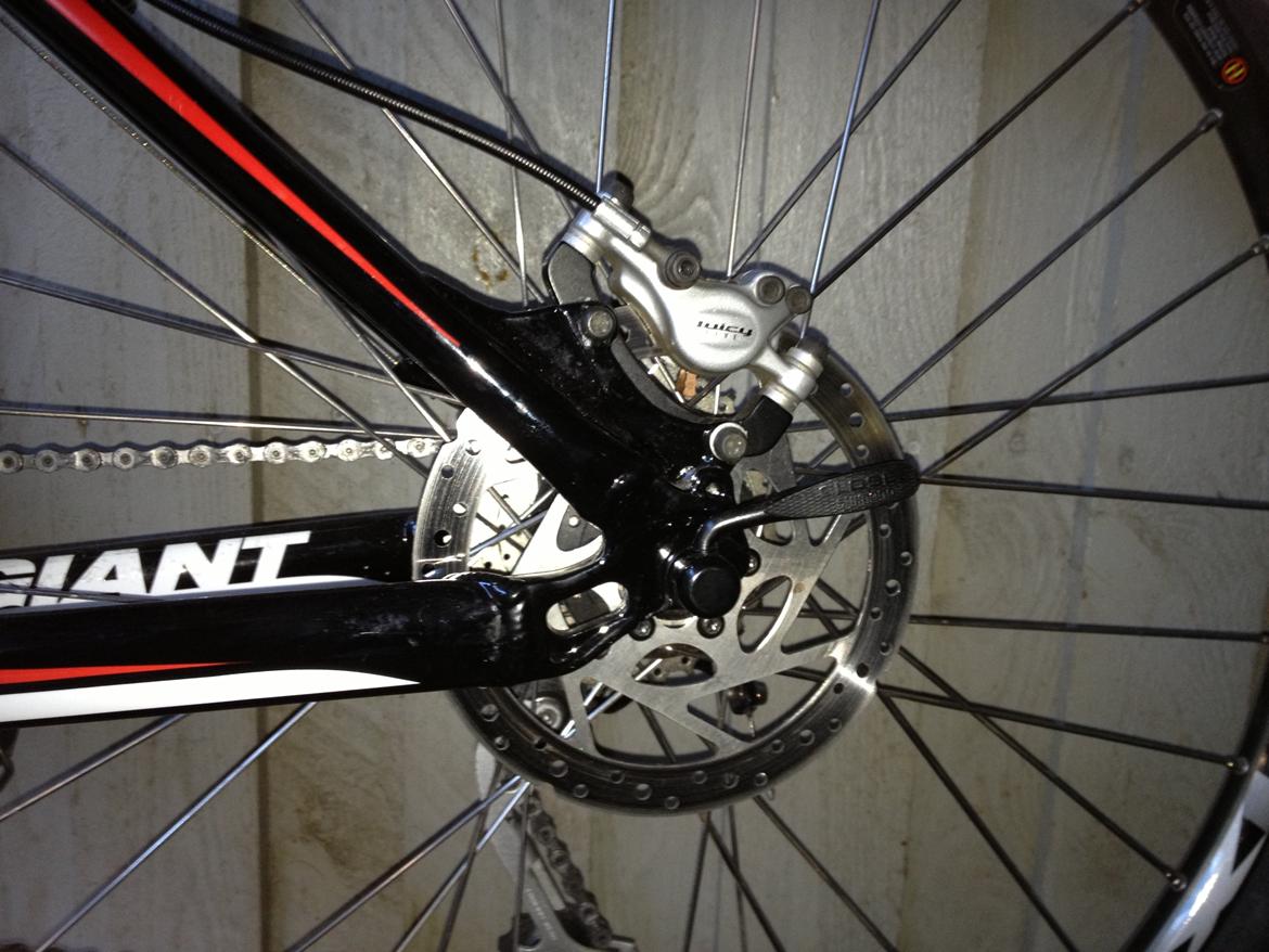 Giant Revel 2 - Solgt billede 5