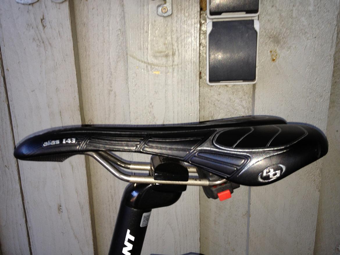 Giant Revel 2 - Solgt billede 10