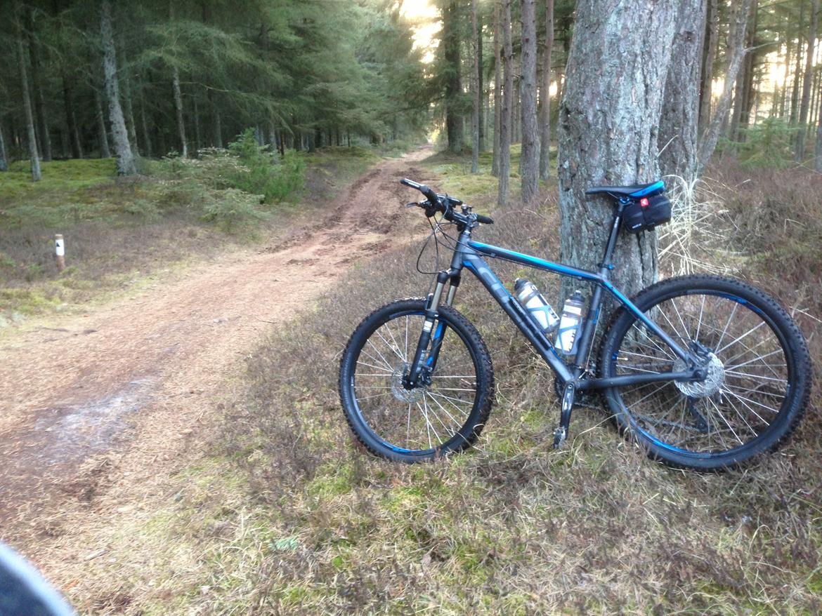 Cube Acid, 2013 billede 15