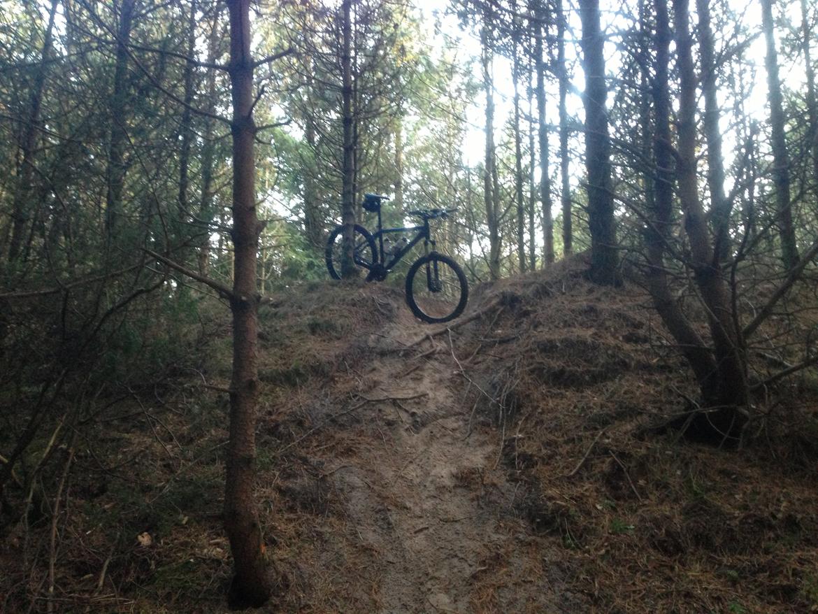 Cube Acid, 2013 billede 16