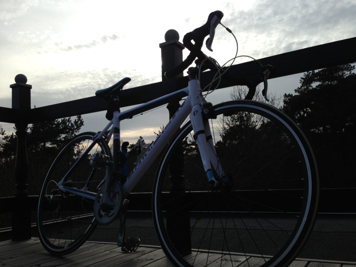 Principia RSL Comp Tiagra 18 Speed 2012 billede 1