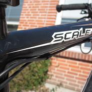 Scott Scale 30