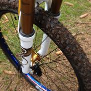 Rocky Mountain Vertex SE