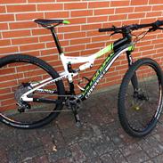 Cannondale Scalpel 29