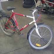 Giant Sierra
