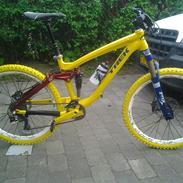 Trek Remedy 9