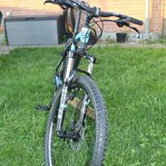 Lapierre Raid 300
