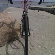 Pinarello FP Uno