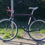 Fuji Singlespeed Fixie SOLGT