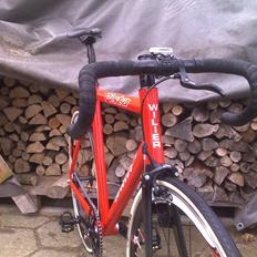 Wilier Pista