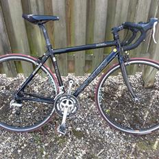 Specialized Allez