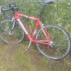 Merida Road Lite 901