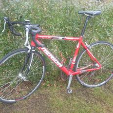 Merida Road Lite 901