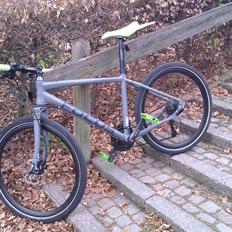 Focus MTB