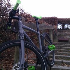 Focus MTB
