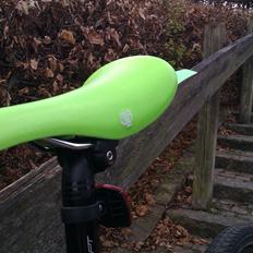 Focus MTB