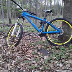 Cove Hooker MX