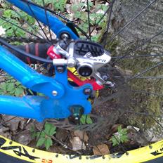Cove Hooker MX