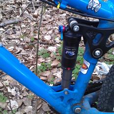 Cove Hooker MX