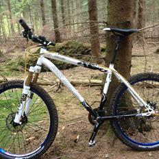 Rocky Mountain Vertex SE